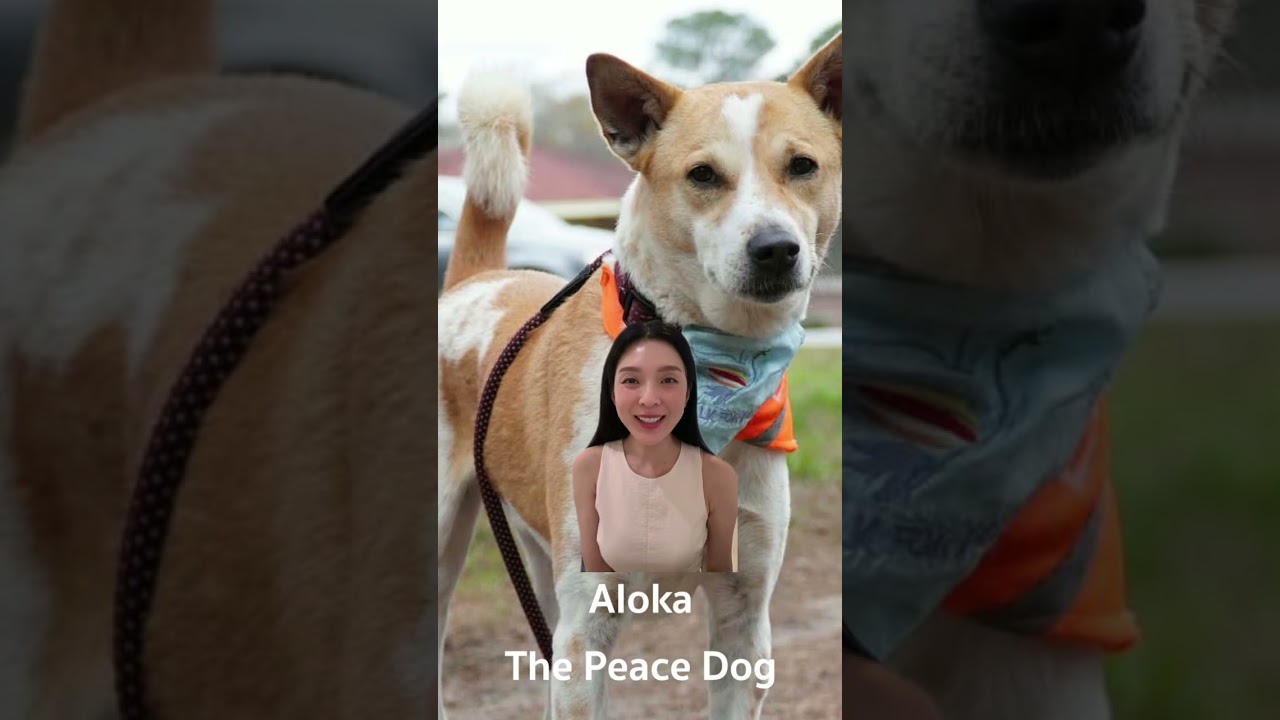 รวบรวมรายชื่อพระสงฆ์ จาก Walk For Peace 