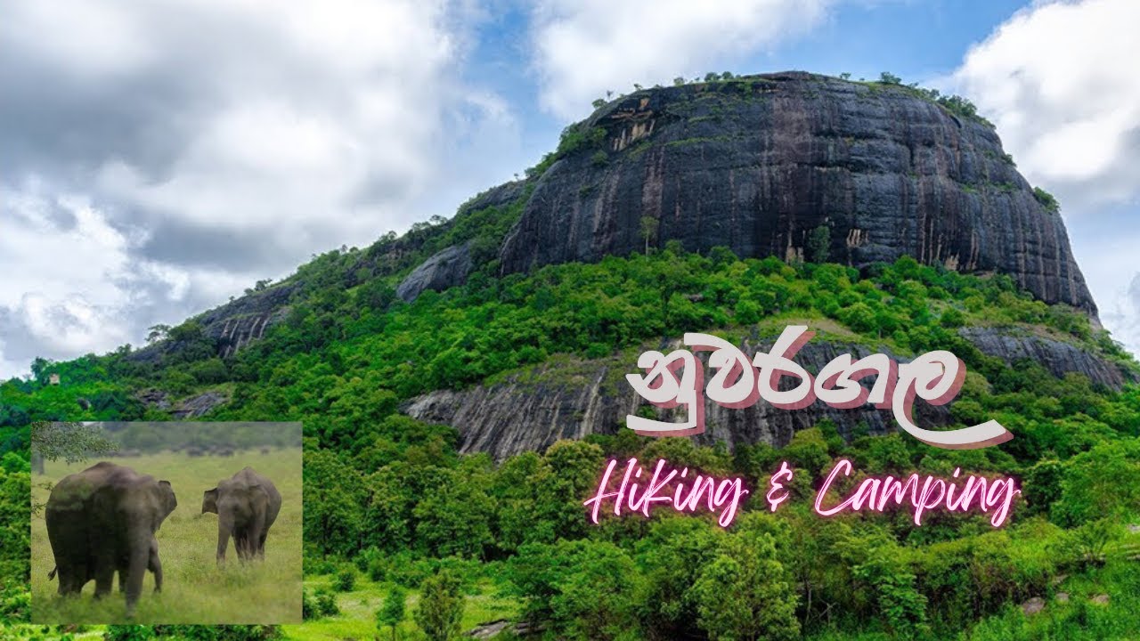 To Nuwaragala Rock Through An Elephant Paradise | අලි ඇතුන්ගේ පාරාදීසයක් හරහා නුවරගලට #trekking