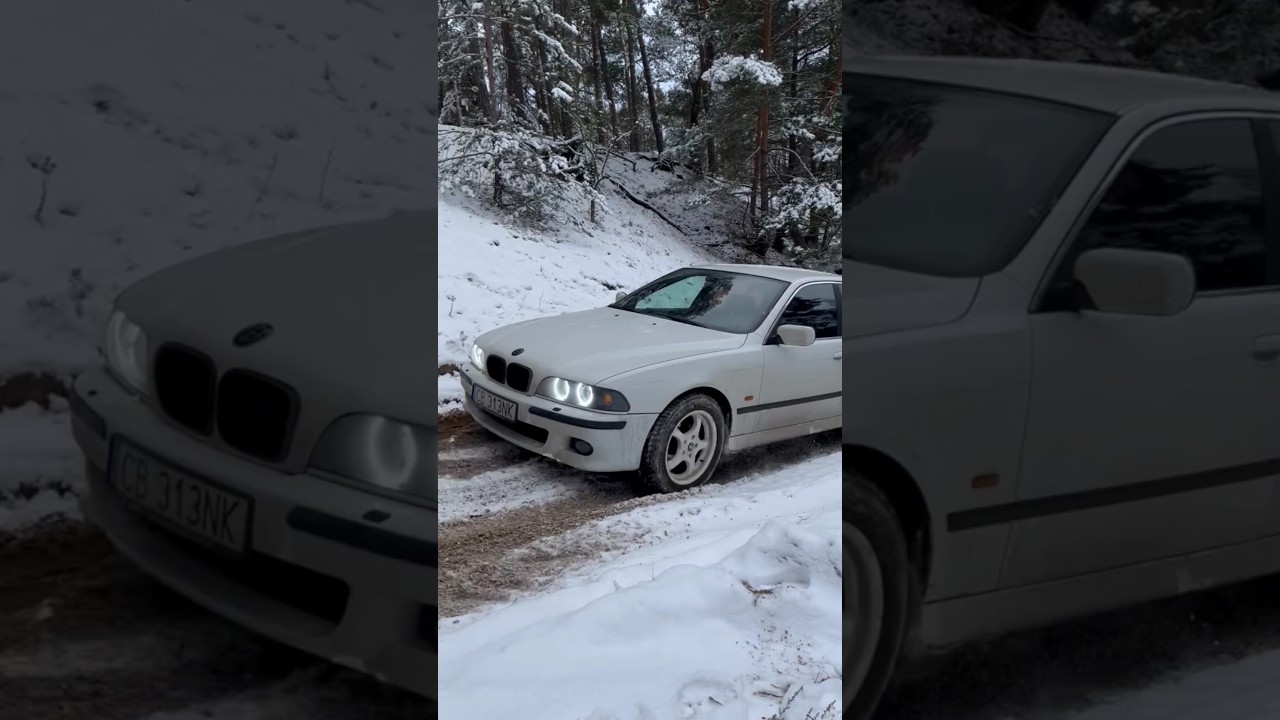 Bmw e39 530d snow offroad #bmw #drift #offroad #automobile #тестдрайв #testdrive