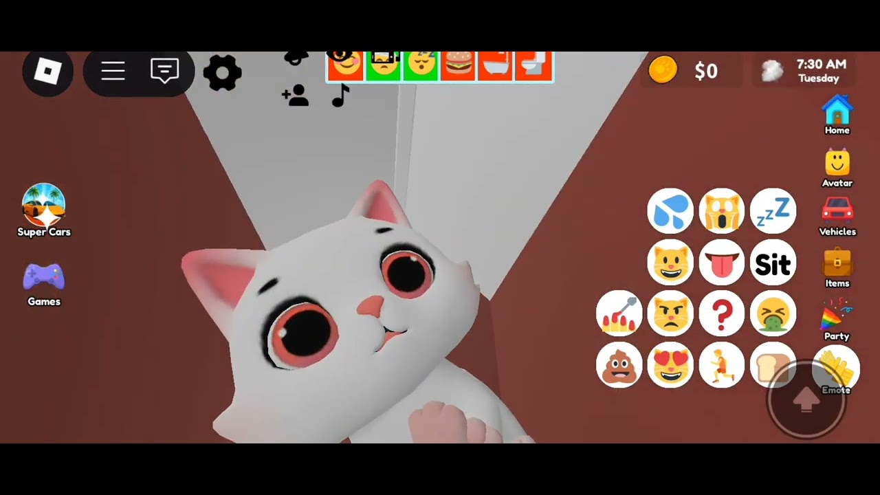 memes times (pet party days time) 