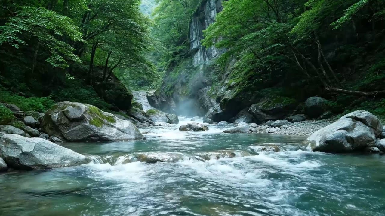 River Sounds for Insomnia Relief | Relaxing Flowing Water Nature White Noise All Night