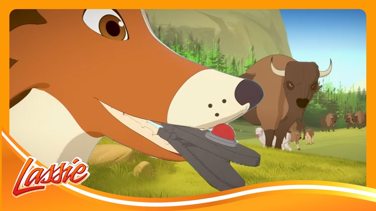 Lassie Finds a MAGIC White Buffalo! 🐶 | The New Adventures of Lassie | Cartoons For Kids