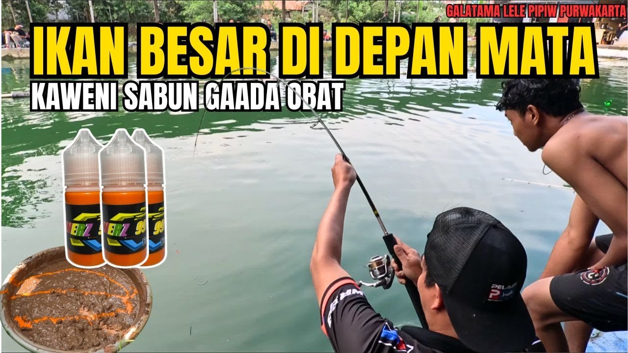 MANCING IKAN LELE DI PEMANCINGAN PIPIW PURWAKARTA SEKALIAN NYOBA ESSEN ANDALAN !!!