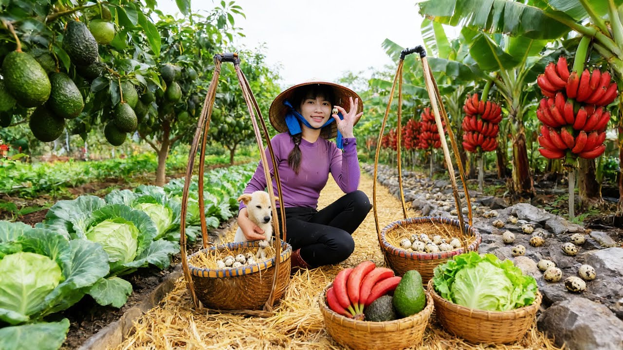 Harvest, Sell, Cook With: Quail Eggs, Red Banana, Round Avocado, Cabbage - Farm Life