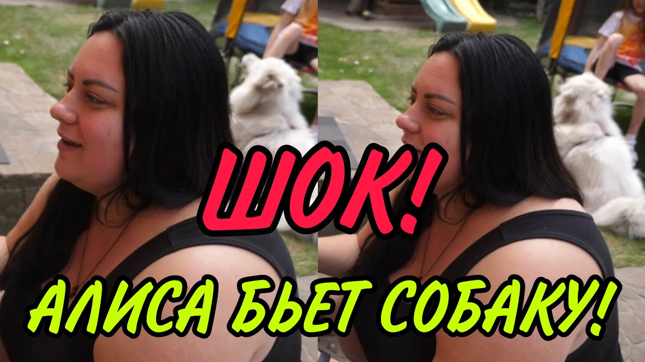 АЛИСА БЬЁТ СОБАКУ! VREDINA LIVE. ОБЗОР.