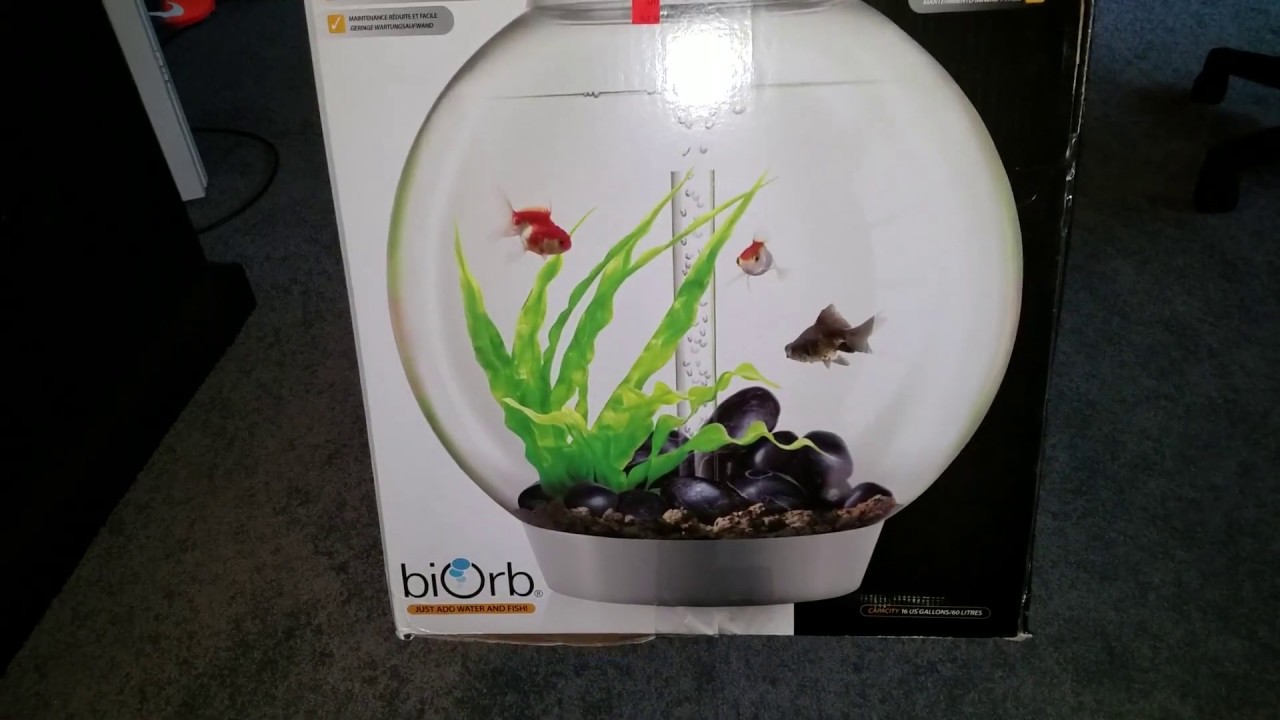 16 Gallon Biorb unboxing