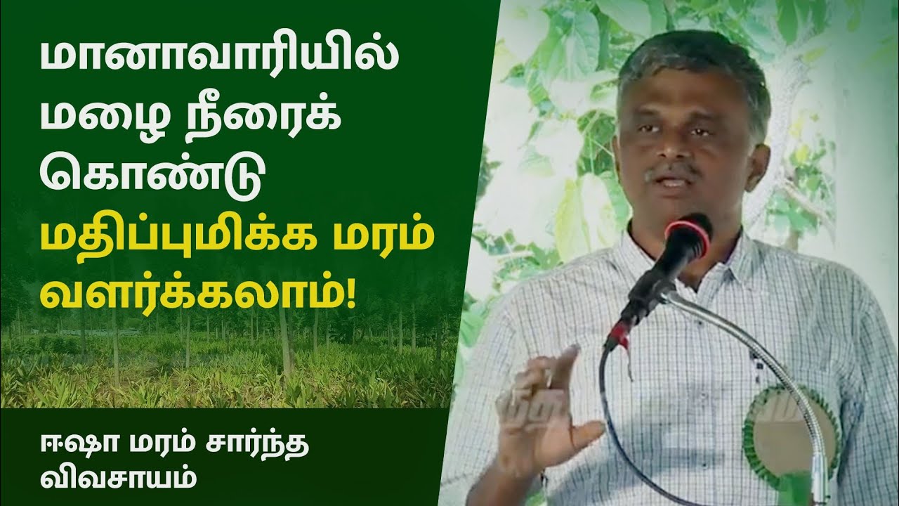 மரங்களுக்கிடையே செம்மறியாடு, காடை, கௌதாரி... செலவின்றி மானாவாரியில் மரம் வளர்ப்பு! - பகுதி 1