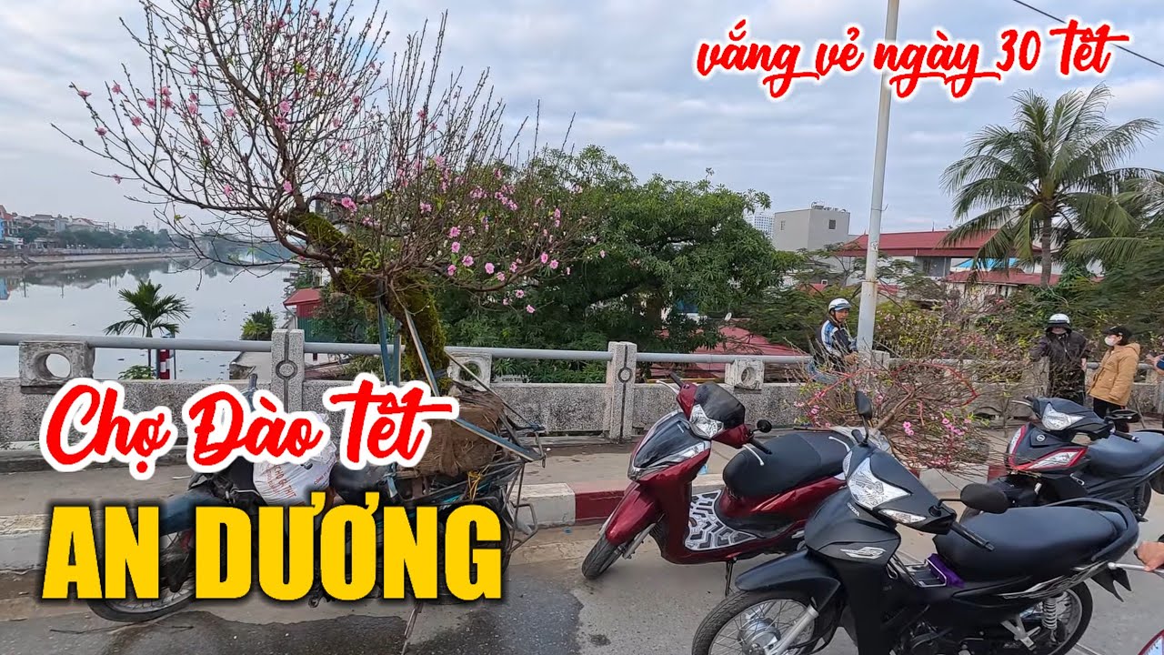 Vắng vẻ chợ Đào Tết An Dương - An Đồng 30 Tết Bính Ngọ 2026 (16.02.2026)