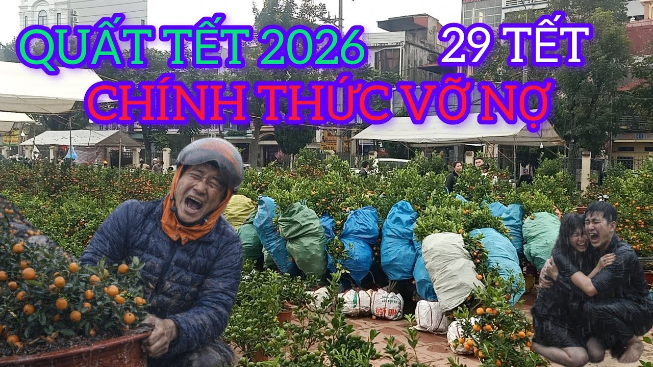 BỐ MẸ VỢ BẢO KHÔNG NGHE ĐI BUÔN QUẤT TẾT GIỜ TRẮNG TAY SƯỚNG CHƯA 