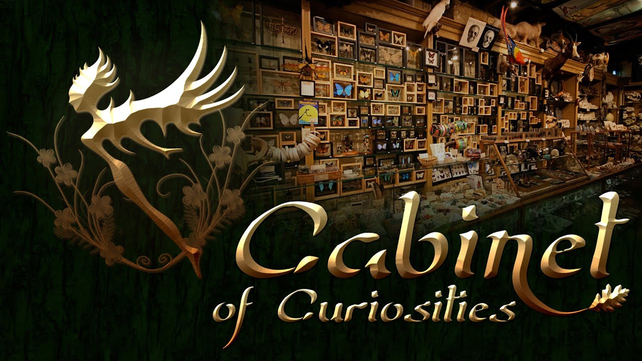 Dark Music - Cabinet of Curiosities (music for studying, reading)