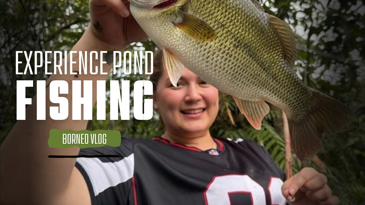 Pond Fishing in Lundu, Sarawak BORNEO