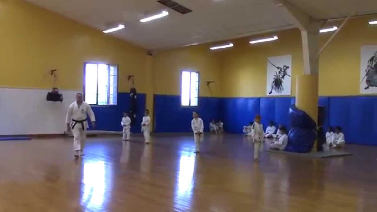KIHON ceintures blanches  début du passage de grade