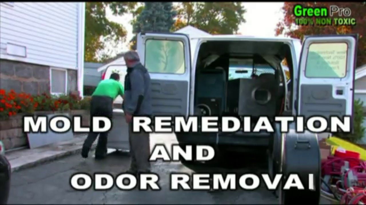 Best Mold Removal & Mold Remediation in Richmond CA - Reviews