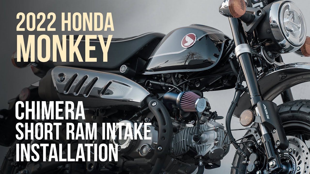 How to Install a 2022 Honda Monkey 125 Chimera Engineering Short Ram Intake