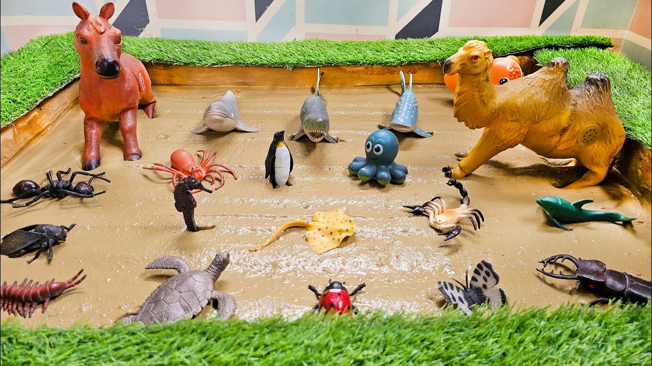 Embracing Adventures with Farm Animals Sea Animals and Bugs in the Mud