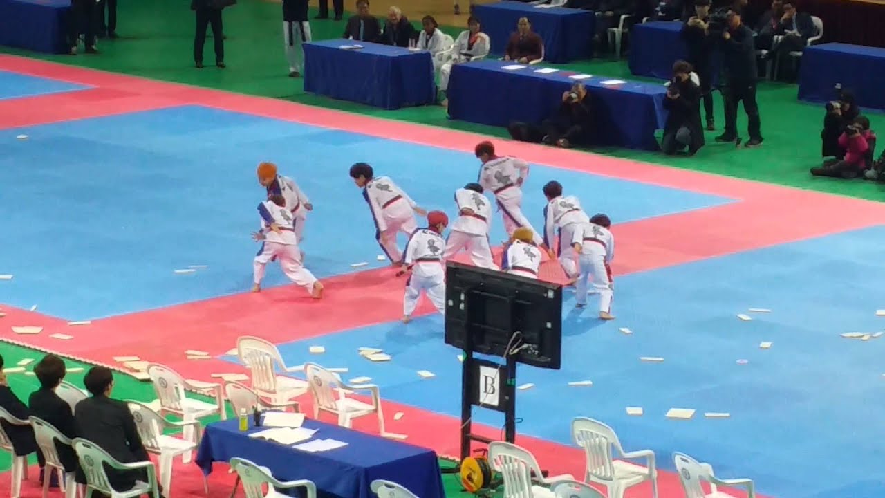 160228 [2016국제오픈태권도페스티발]케이타이거즈1