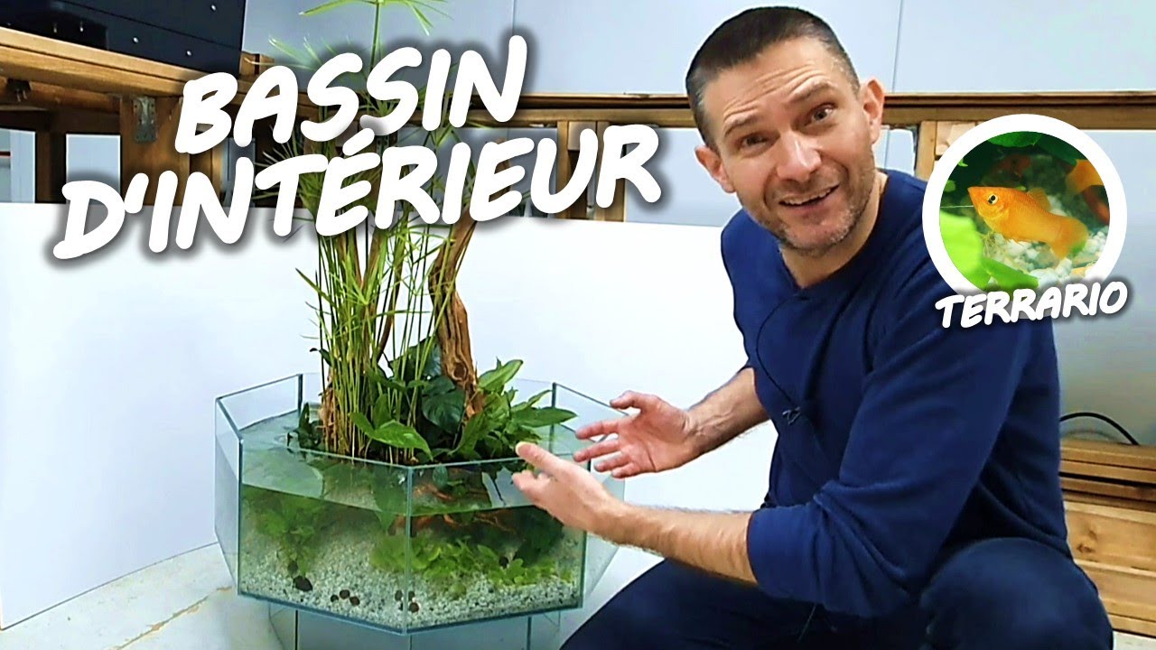 MINI BASSIN D'INTÉRIEUR chez AQUAPLANTE