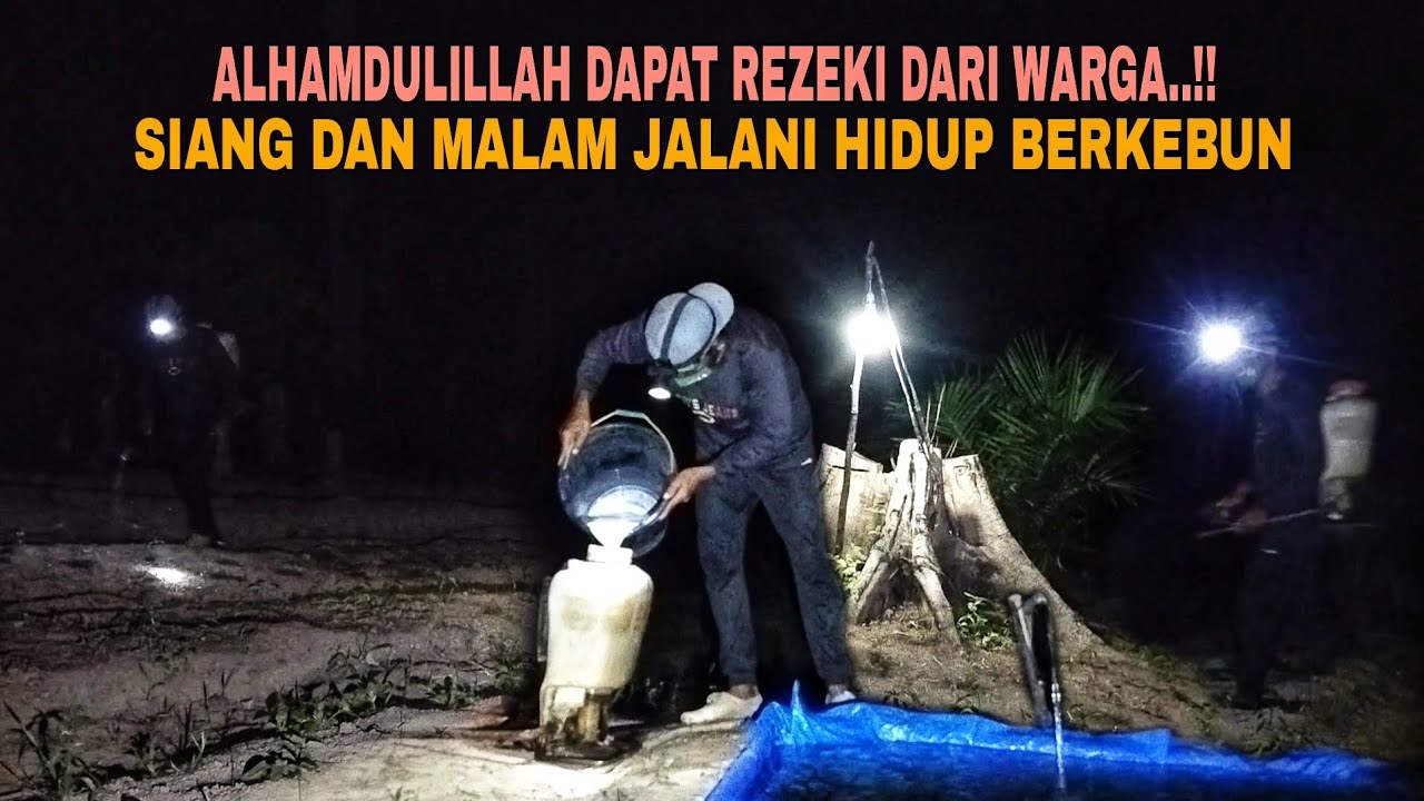 ALHAMDULILLAH DAPAT REZEKI DARI WARGA..!! SIANG MALAM JALANI HIDUP BERKEBUN