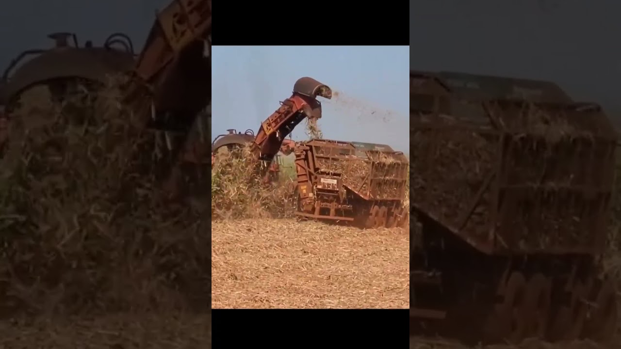 Excelência Raìzen....2021/25