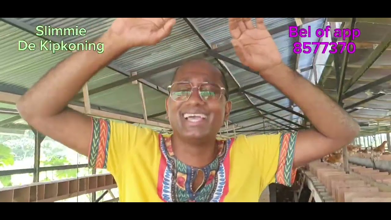 Kip koning