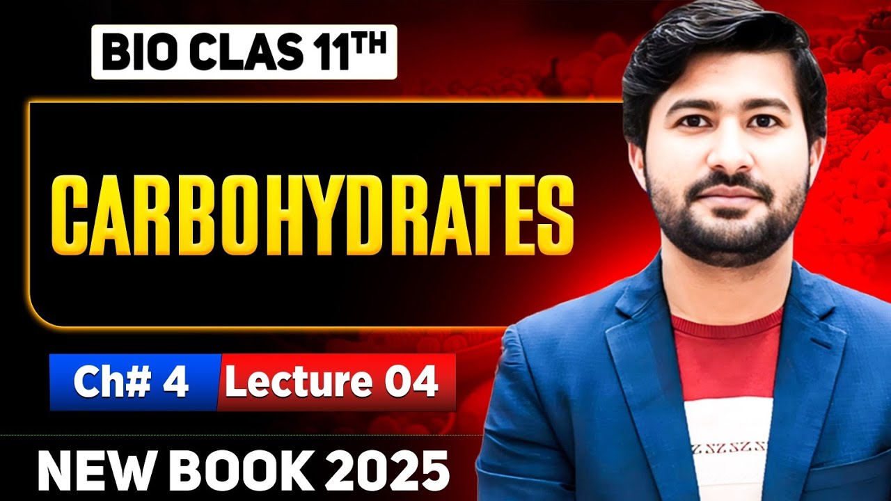 Carbohydrates | Classification of Carbohydrates | Biomolecules class 11 biology