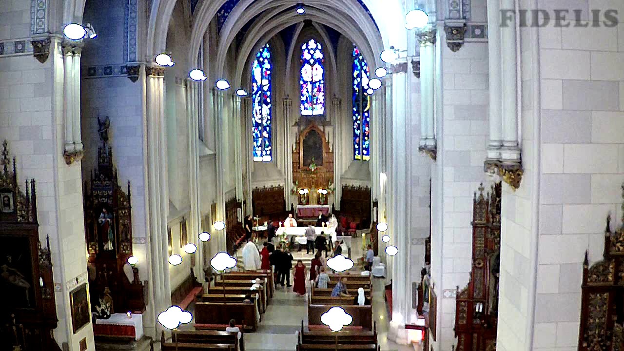 Fidelis - Zdravo Marijo, sjajna zornice - KAPTOL / ZAGREB
