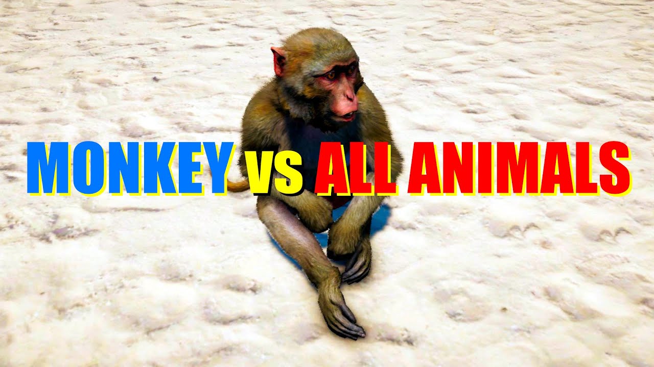 Far Cry 4 Animal Fight - Assam Macaque Monkey vs All Animals Battles