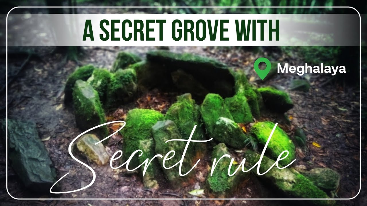 The complete story of Mawphlang Sacred Forest | The Grove with a Secret | Akshaya Kapoor