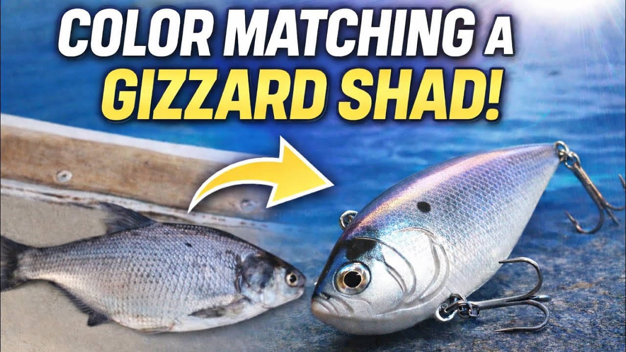 Color Matching A Gizzard Shad!! (Lure-Painting)