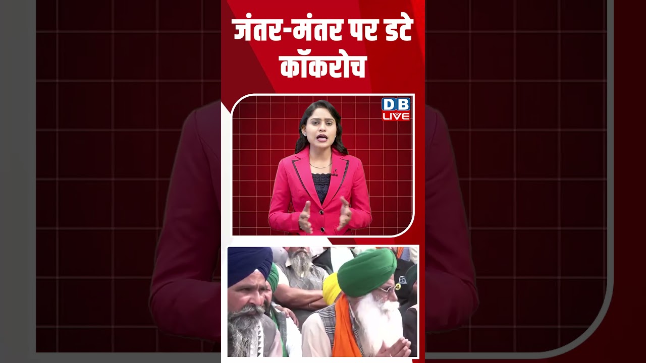 जंतर मंतर पर डटे कॉकरोच #dblive #breakingnews #shortsvideo #latestnews #congress #rahulgandhi