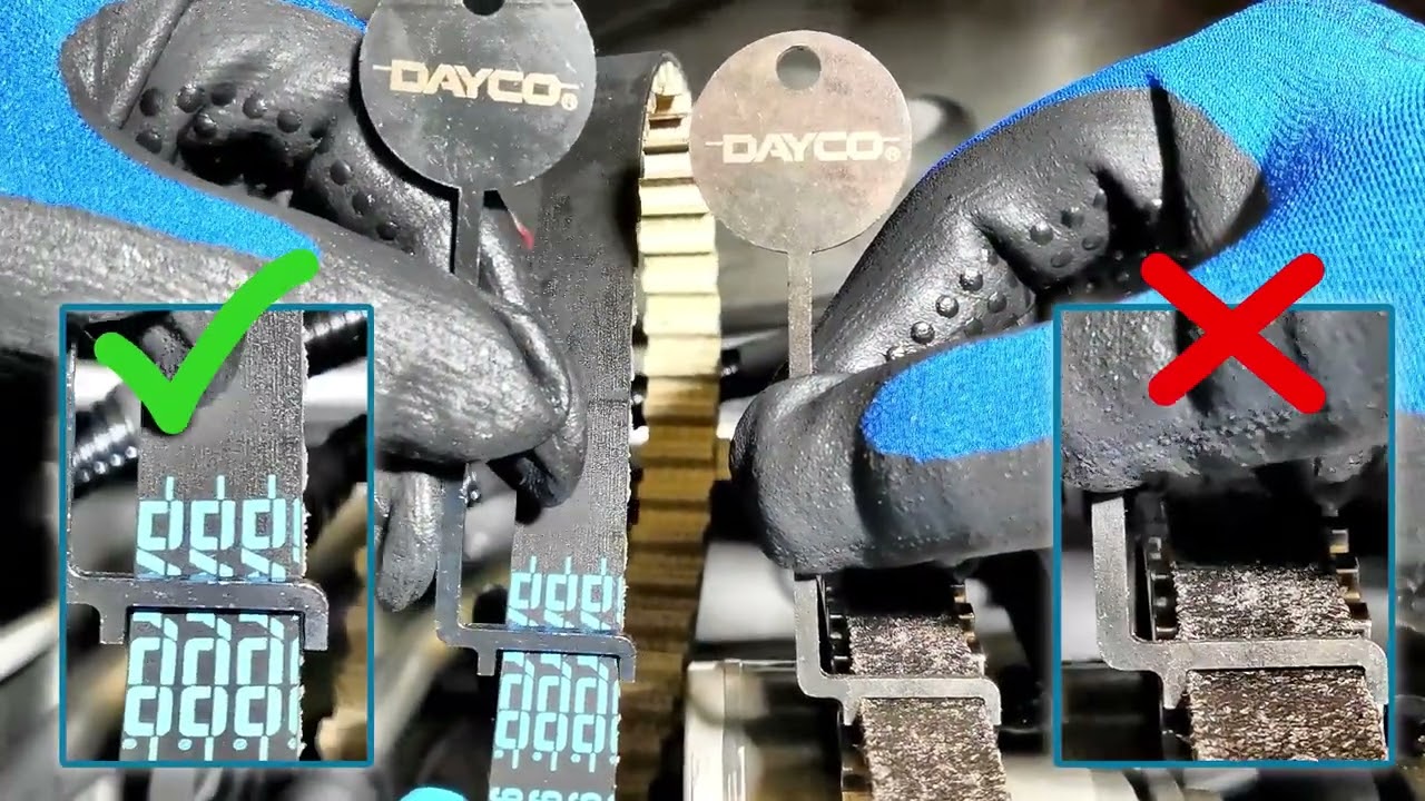 Sostituzione cinghia distribuzione in bagno d'olio - Citroen C3 motore EB2 con variatore di fase