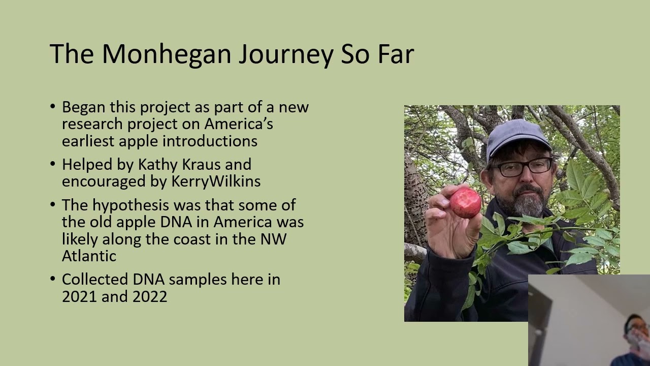 Chasing Down Monhegan’s Apples: Histories, Mysteries and Results