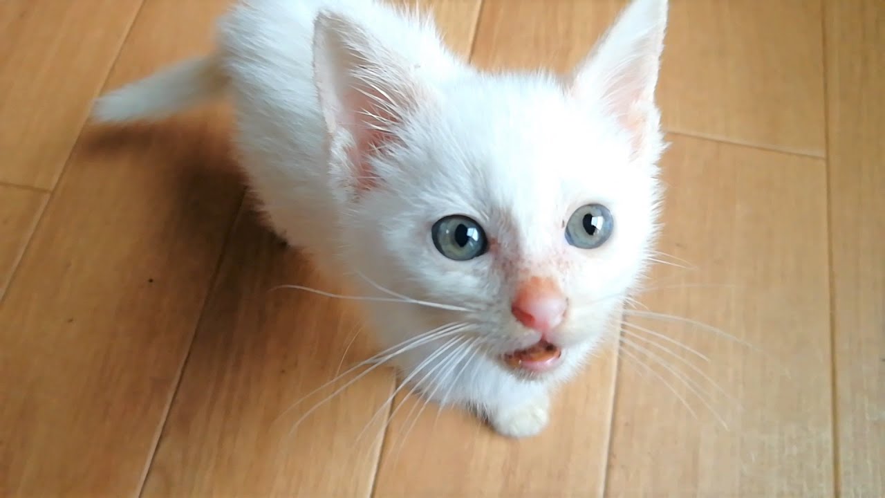 ぼくが生まれた日。【祝１歳】The day I was born