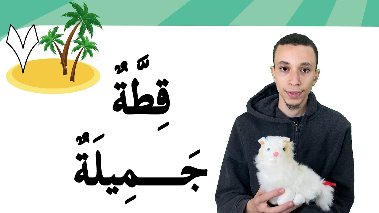 قِطَّتِـي-1 (31) | Learn Arabic Easily | My Cat