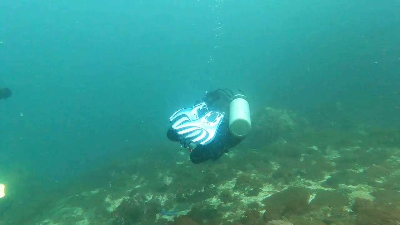 Diving.Malapascua.Gato.Island.2.2026.Jan.27