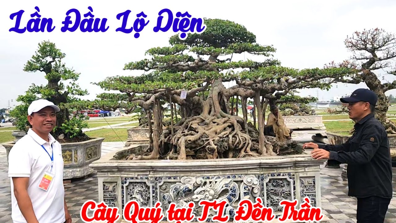Ba tác phẩm sanh rất quý của NV anh Quang Phong châu trưng bày tại TL lễ hội đền Trần Nam định 