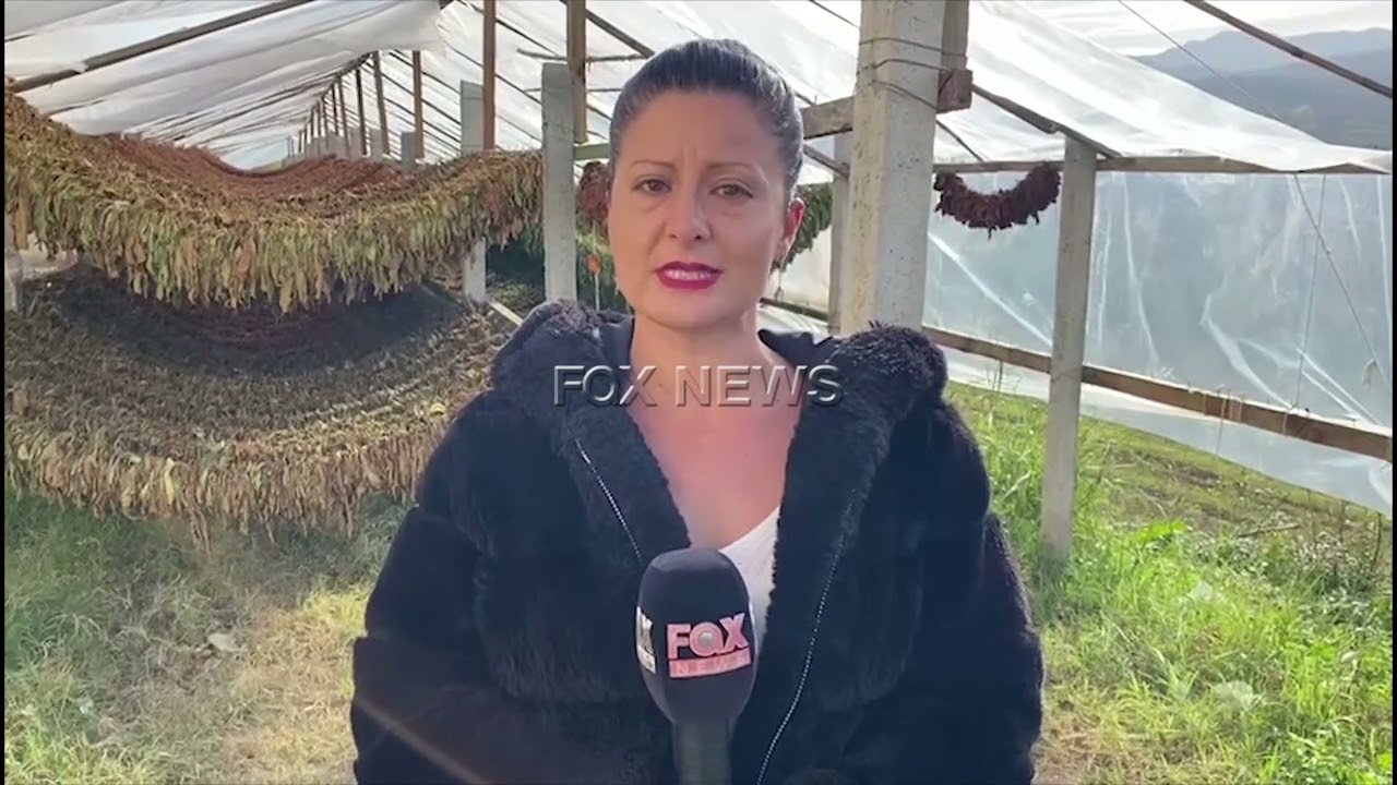 Roskovec, fermeret: Me duhanin po fitojme!