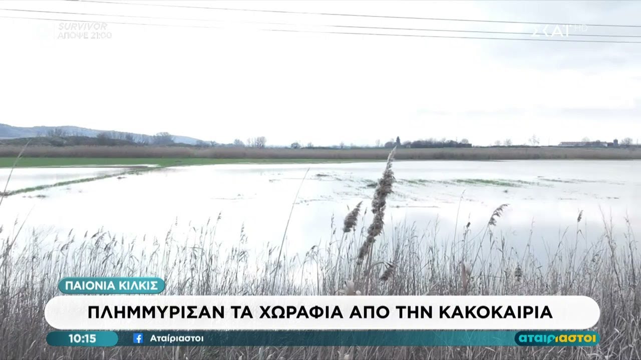 Παιονία Κιλκίς: Πλημμύρισαν τα χωράφια από την κακοκαιρία  | Αταίριαστοι | 03/02/2026