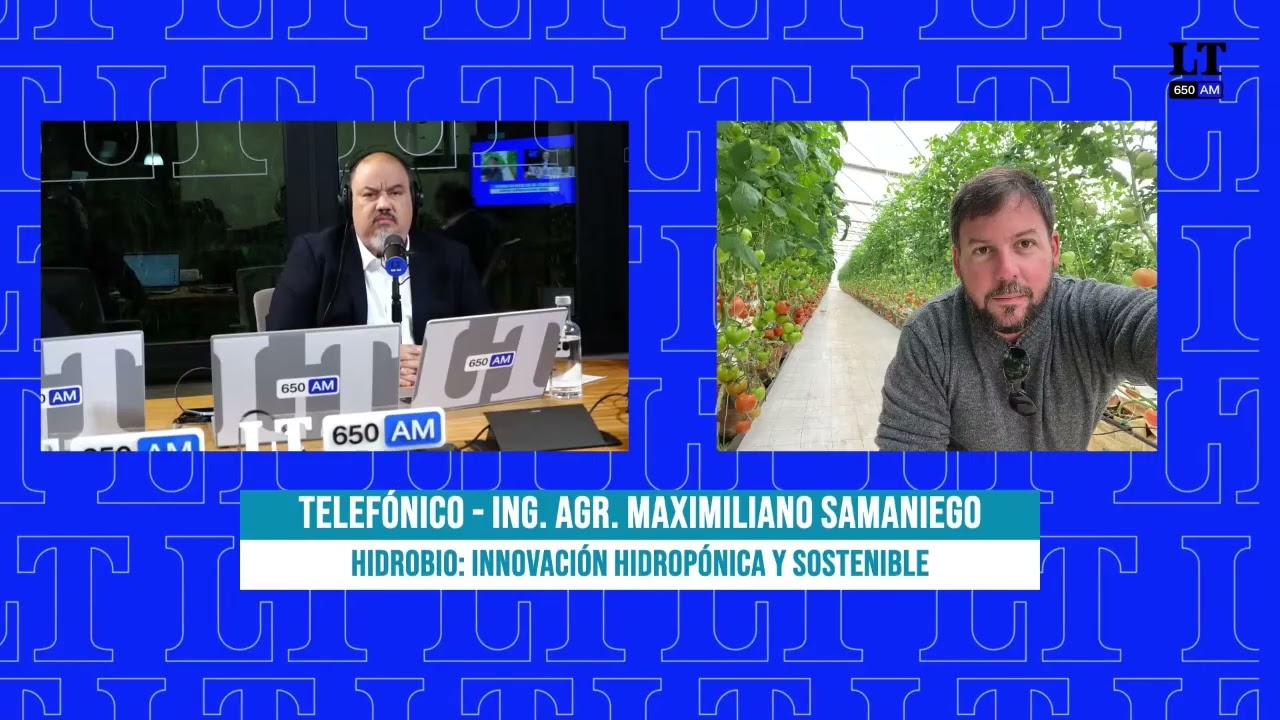 HidroBio en la Tribu 650 AM: Hidroponía aplicada en huertas hogareñas