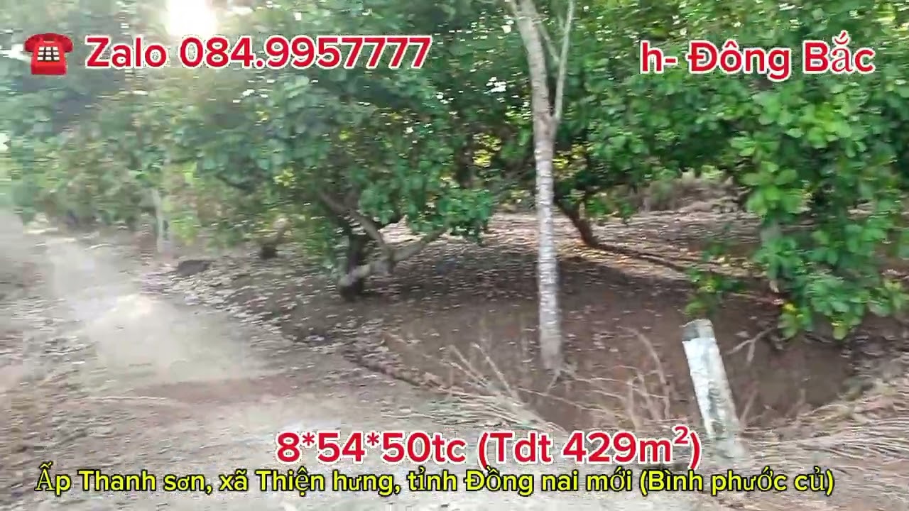(117) 💥8*54*50tc nằm cạnh trung tâm xã mà chỉ có giá 450triệu💥💥💥