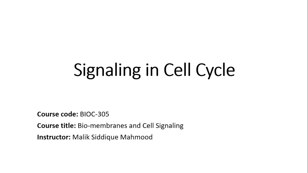 Cell Cycle Signaling | Cytokines | CDK | Cyclin Dependent Kinases