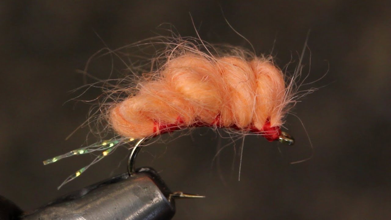 Sucker Spawn