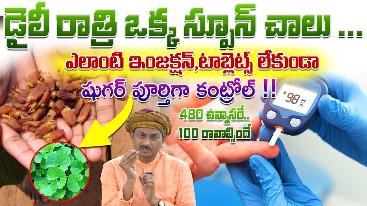 ఇంజక్షన్, టాబ్లెట్స్ లేకుండా షుగర్ పూర్తిగా కంట్రోల్ | Diabetes Remedi | Dr.Ravivarma | AYUR MANTRA
