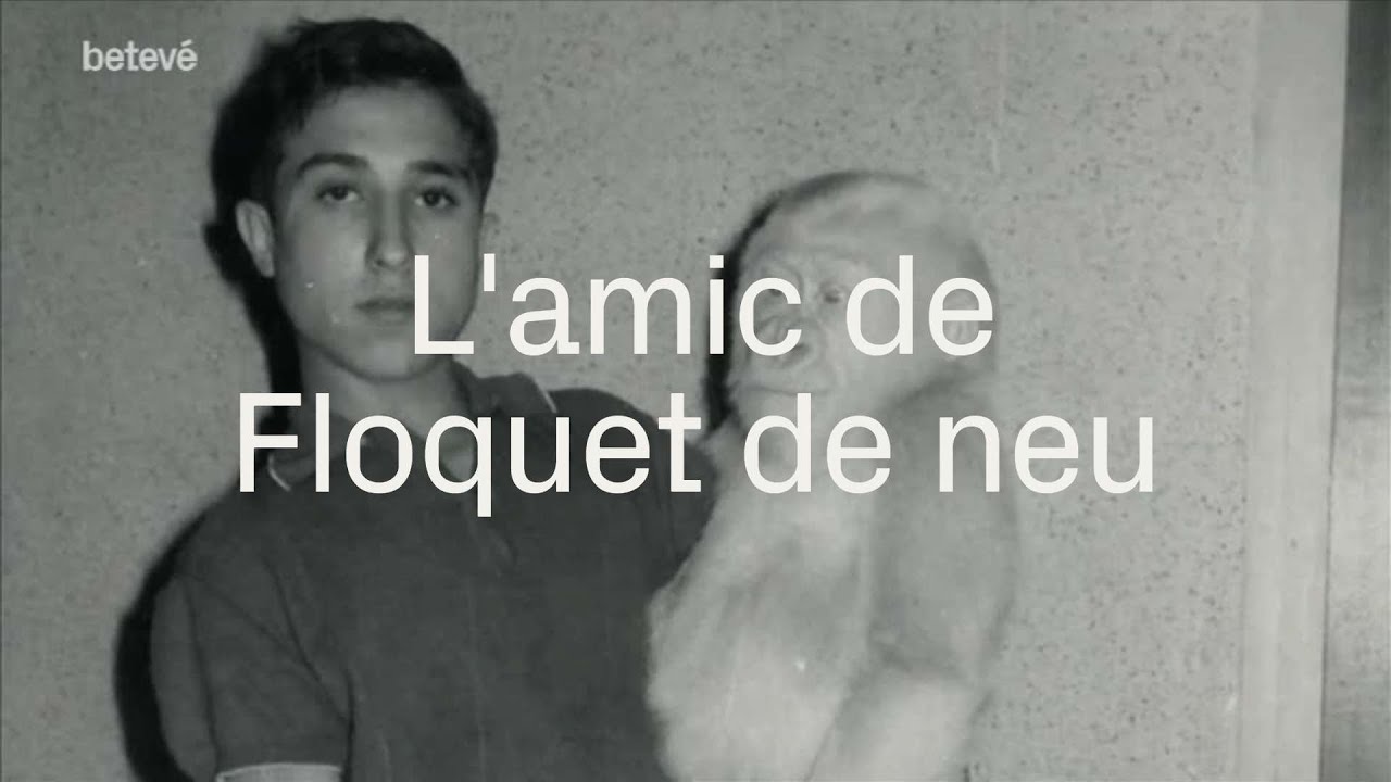 L’amic de floquet de neu | betevé