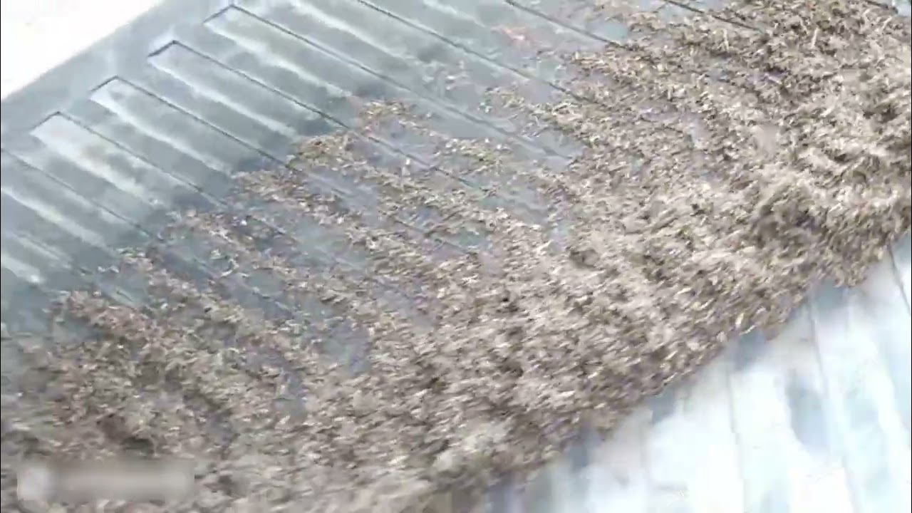 Biogas residue to organic fertilizer processing line