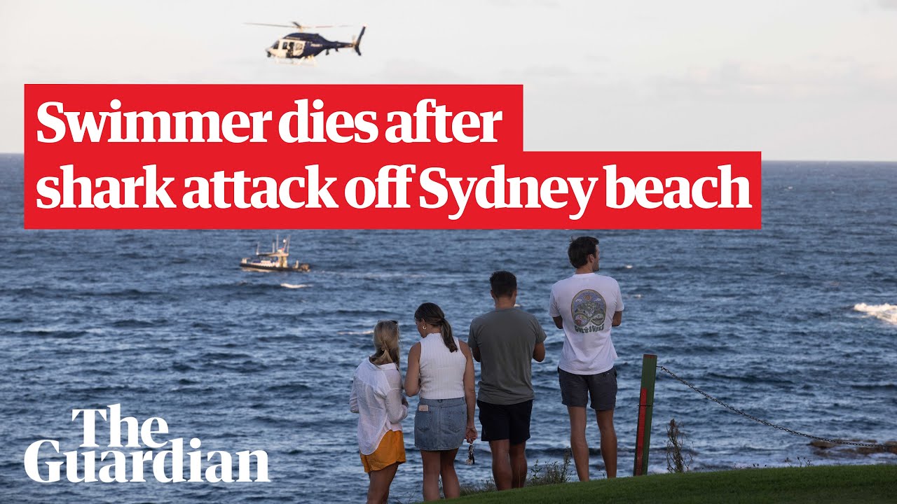 Sydney shark attack: search for remains after shark kills swimmer off Little Bay beach
