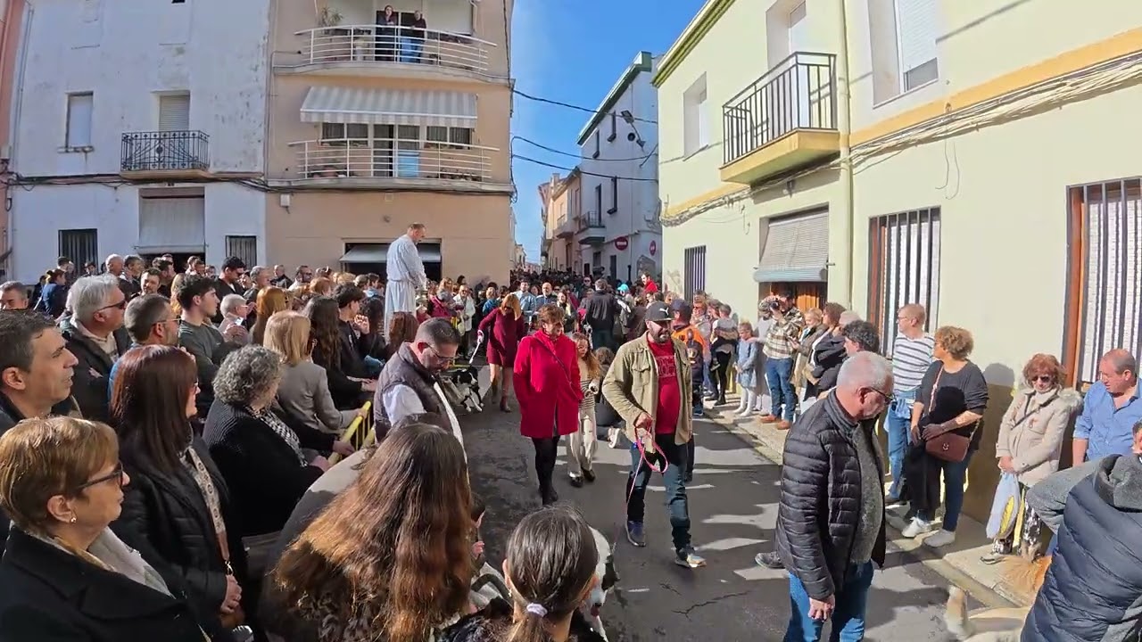 4K, Pet Blessing Ceremonies, Porrat of San Antonio in La Font d'en Carros, Comarca de La Safor