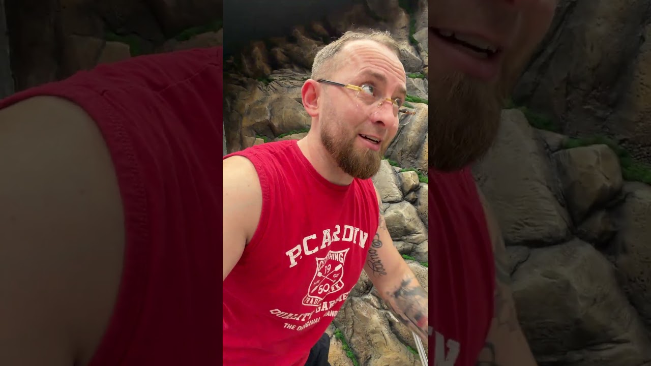 Тренадеры вдохновляют заниматься