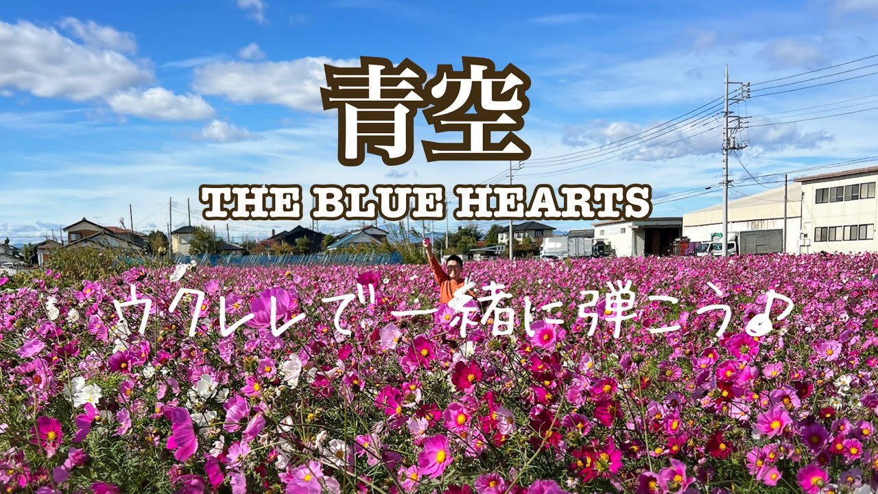 青空/THE BLUE HEARTS/みんなで歌うウクレレクリスマス会用