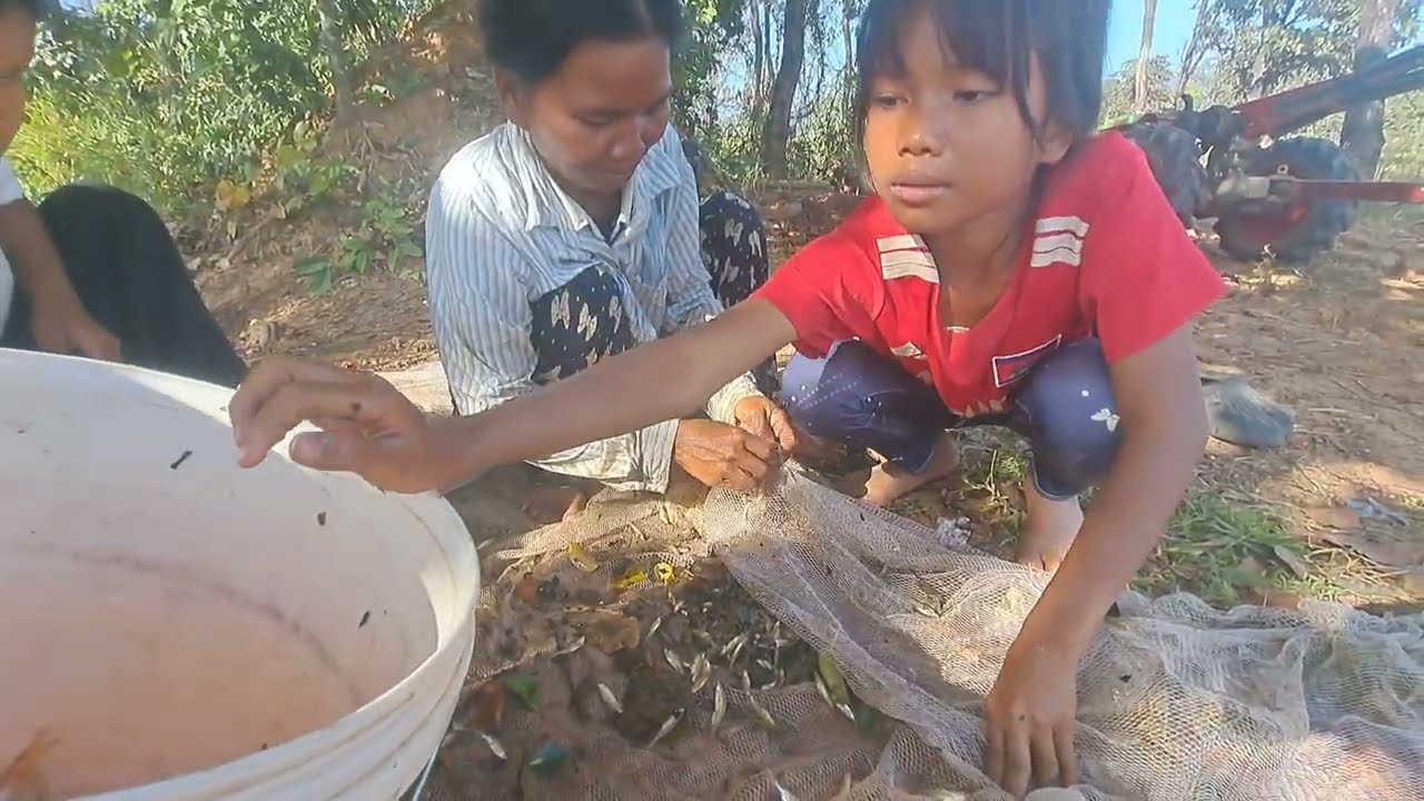 ថ្ងៃនេះមករកត្រីហូបបាយតាមវាលស្រែពិតជាឆ្ងាញ់មែន